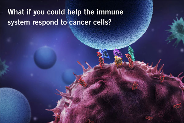 what if you could help the immune system respond to cancer cells?