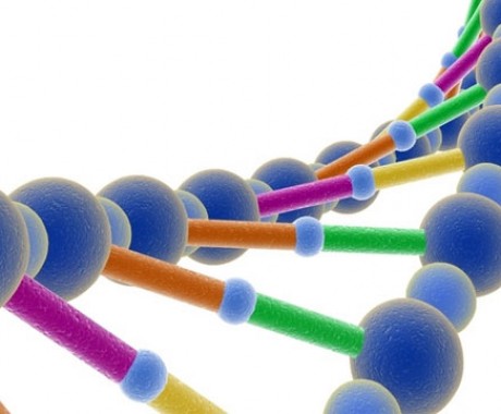 Mengapa DNA Begitu Penting