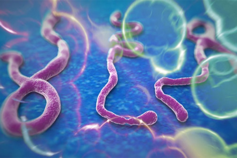 Ebola Jadi Epidemi Lagi?