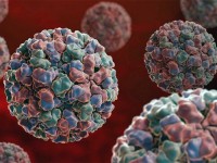 Ratusan Orang Terinfeksi Norovirus di Kapal Pesiar