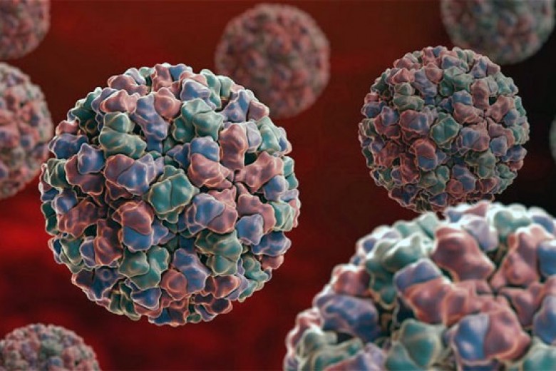 Ratusan Orang Terinfeksi Norovirus di Kapal Pesiar