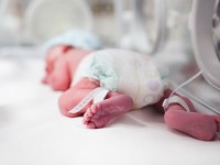 Cara Berikan Kolostrum pada Bayi Prematur