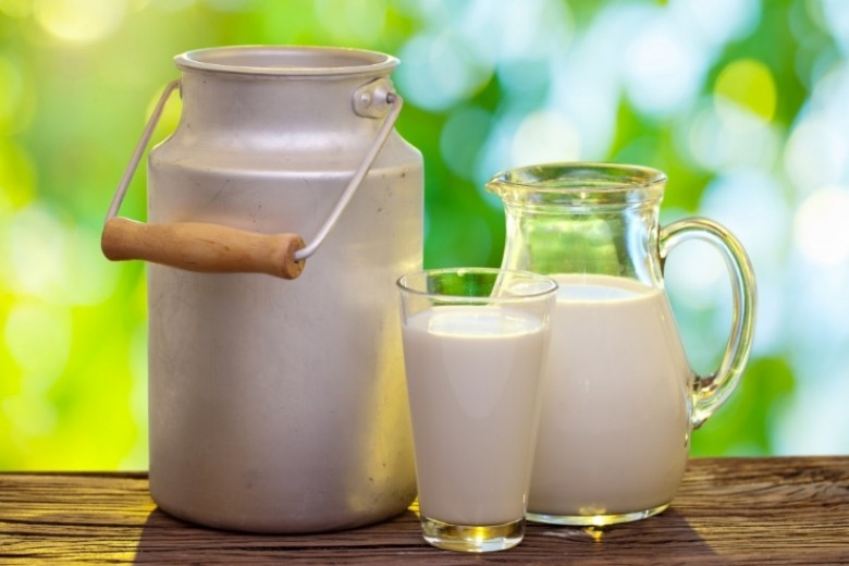 Susu dan Daging Organik Lebih Sehat