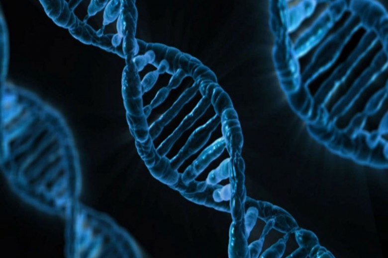 Kenaikan Berat Badan Berlebih Ubah DNA