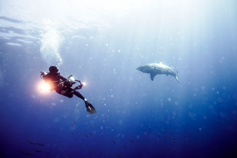 IWC Aquatimer Gets Up Close With Sharks